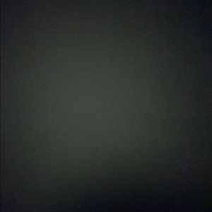 Meet your Posher, Dorian